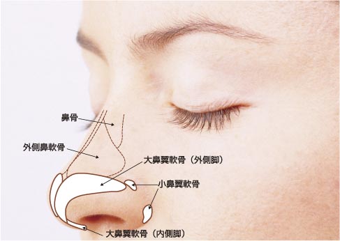 隆鼻術 鼻形成 美容外科 美容皮膚科 形成外科 共立美容外科仙台院
